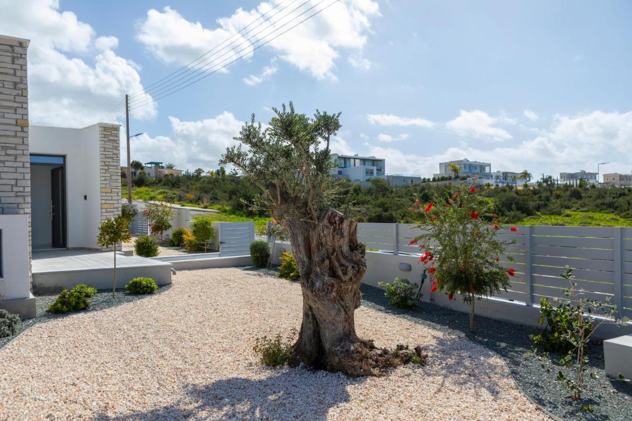 Villa Adaris, Sea Caves Peyia Paphos Exterior photo